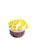 Colorful Cupcakes Set