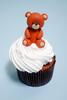 Kids Cupcakes with Teddy