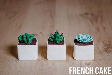 Cactus Mini cakes