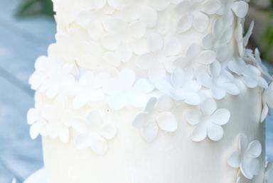 Wedding Cake - Little Frowers
