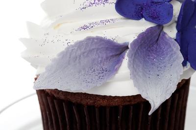 Blue Flowers Cupcakes